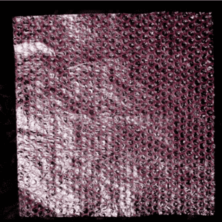 Bolsa de Poliburbuja